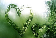 姆巴佩连续七场比赛得分超越问鼎冠军，日本队挑战极限！